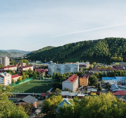 a view of a city with mountains in the background